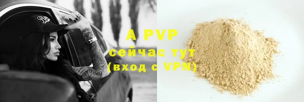 PSILOCYBIN Аркадак