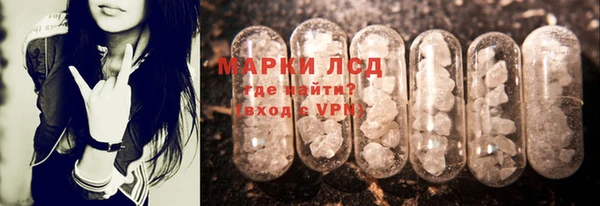 PSILOCYBIN Аркадак