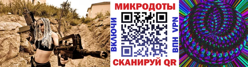 Псилоцибиновые грибы Psilocybine cubensis  Сельцо 