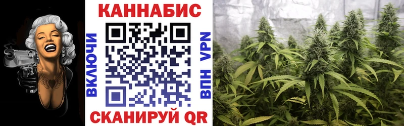Каннабис OG Kush  Сельцо 